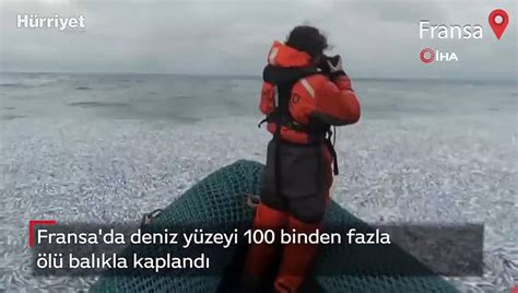 F­r­a­n­s­a­­d­a­ ­d­e­n­i­z­ ­y­ü­z­e­y­i­ ­1­0­0­ ­b­i­n­d­e­n­ ­f­a­z­l­a­ ­ö­l­ü­ ­b­a­l­ı­k­l­a­ ­k­a­p­l­a­n­d­ı­